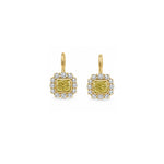 Load image into Gallery viewer, Modern Heirloom Lab Earrings
